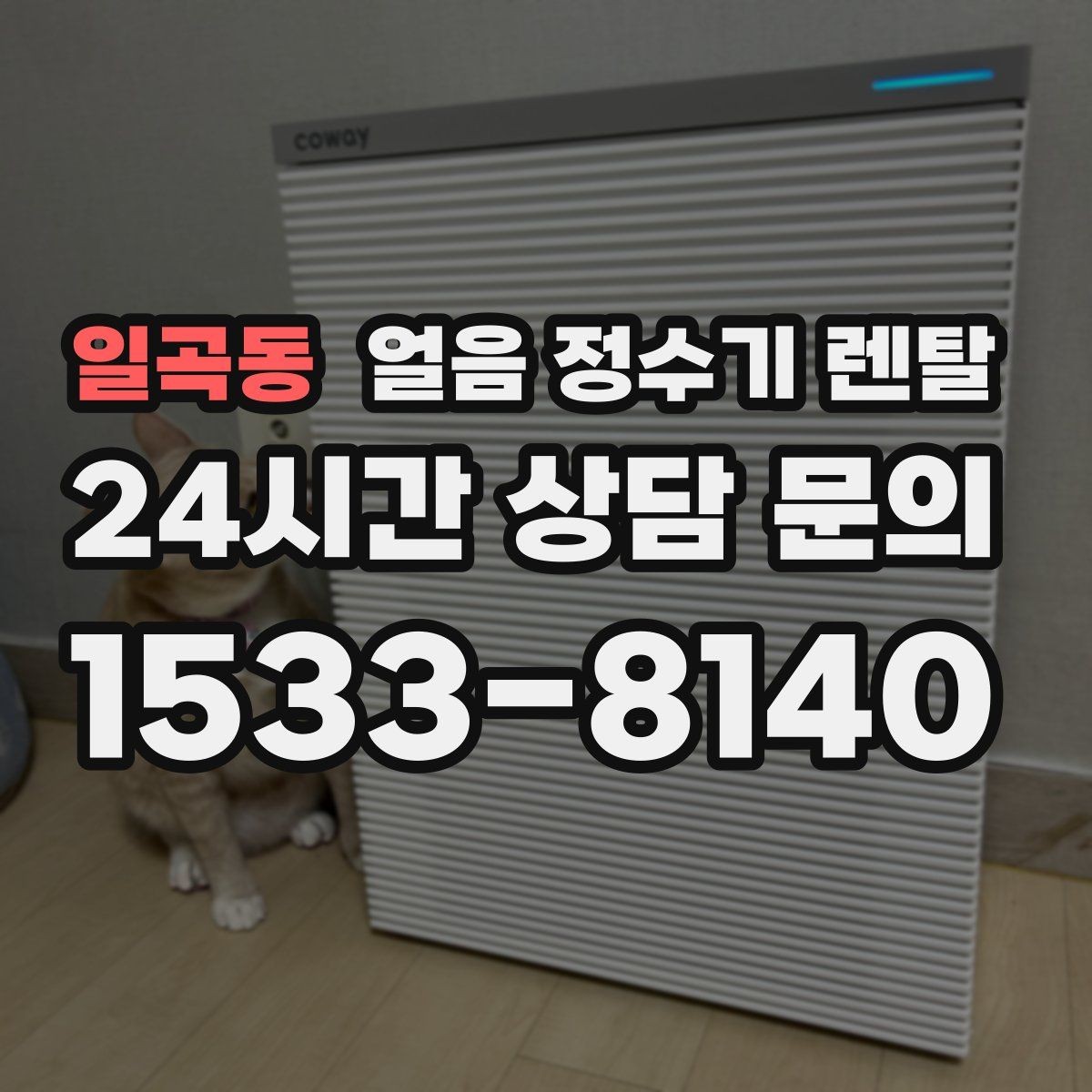 일곡동 얼음 정수기 렌탈 얼음이 부족해지는 대표 상황