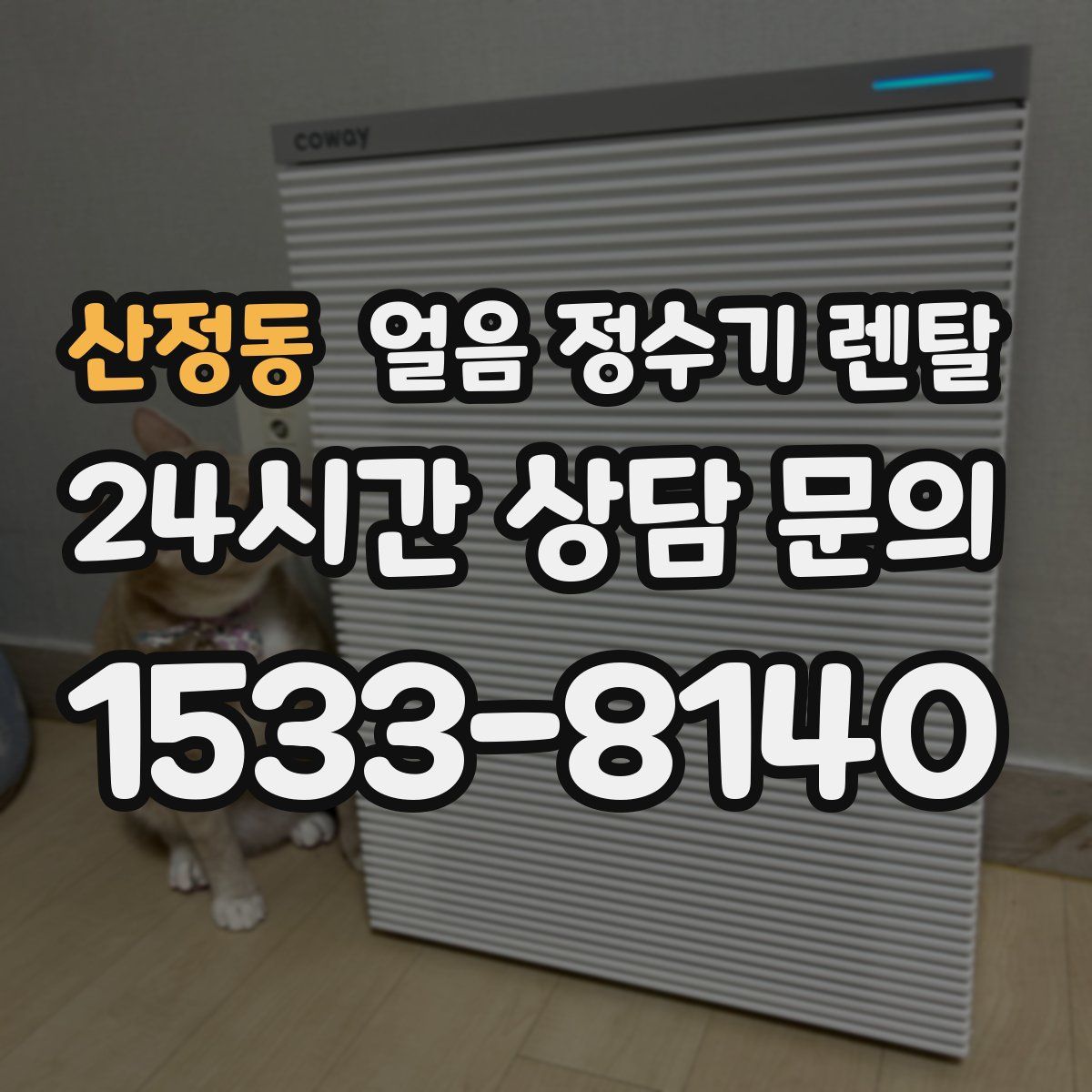 산정동 얼음 정수기 렌탈