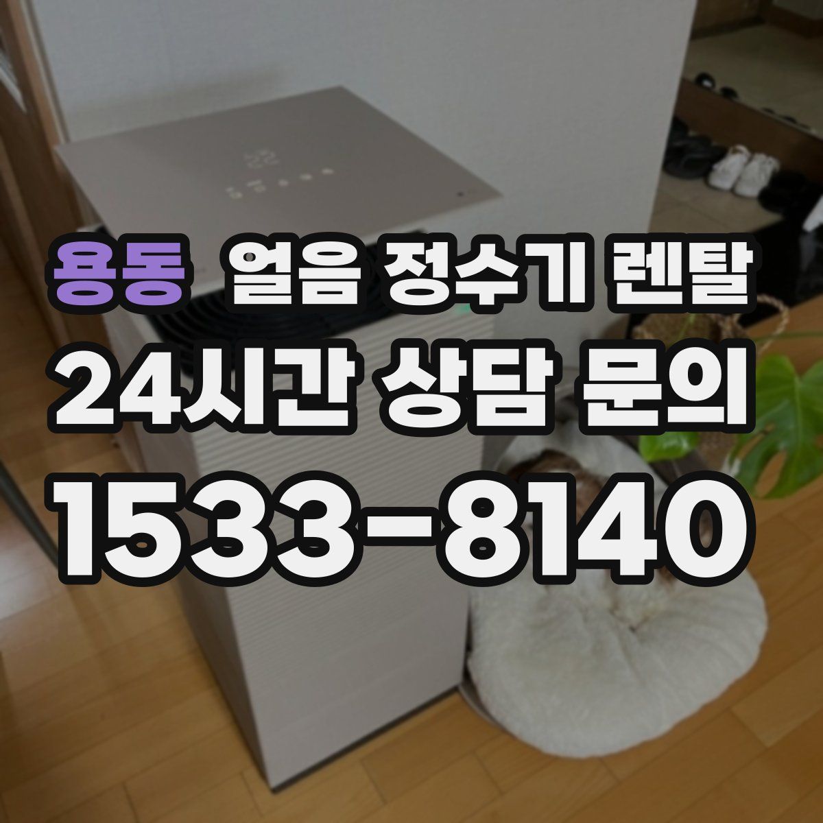 용동 얼음 정수기 렌탈