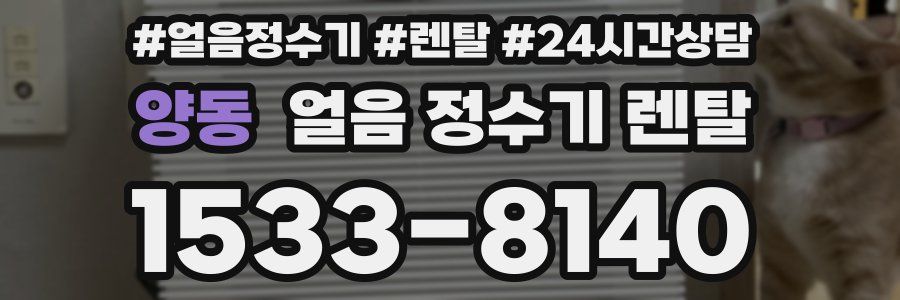 양동 얼음 정수기 렌탈