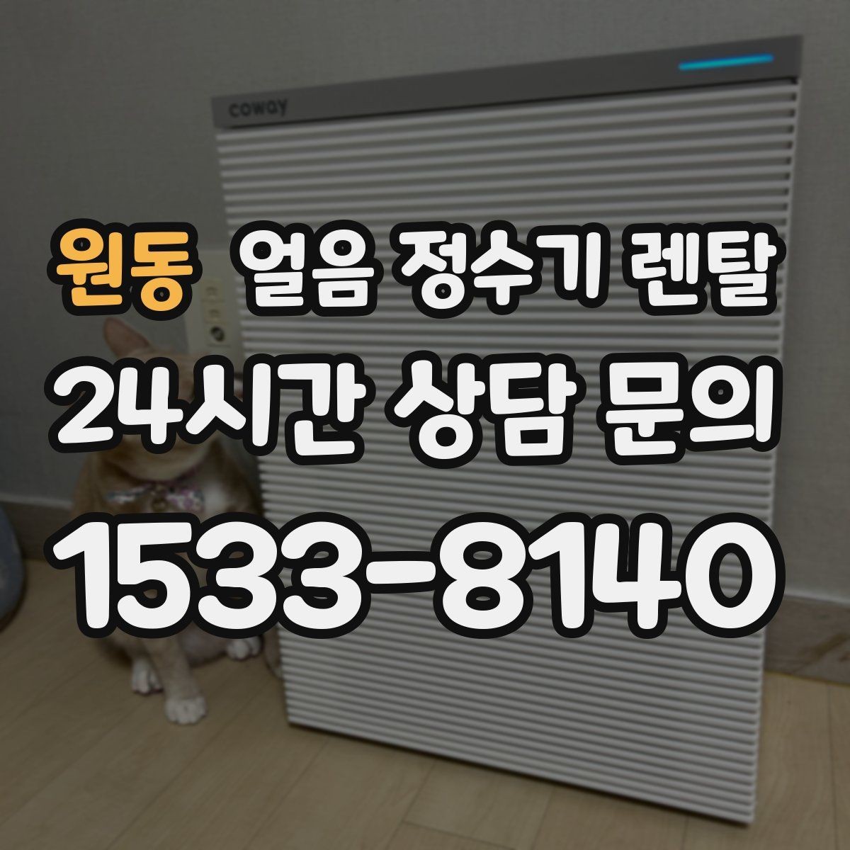 원동 얼음 정수기 렌탈 빠른 상담을 위한 설치 공간 사진 포인트
