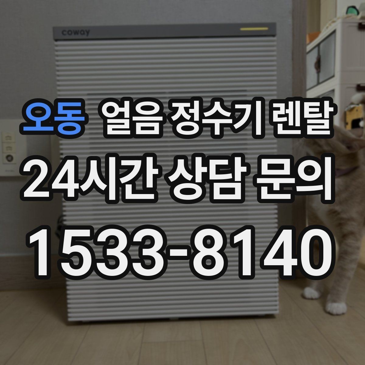 오동 얼음 정수기 렌탈 얼음 출구가 좁으면 생기는 불편