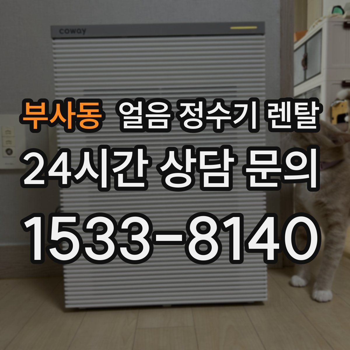 부사동 얼음 정수기 렌탈