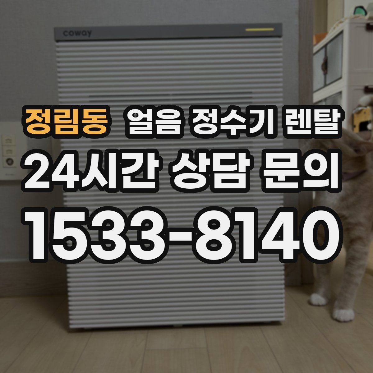 정림동 얼음 정수기 렌탈