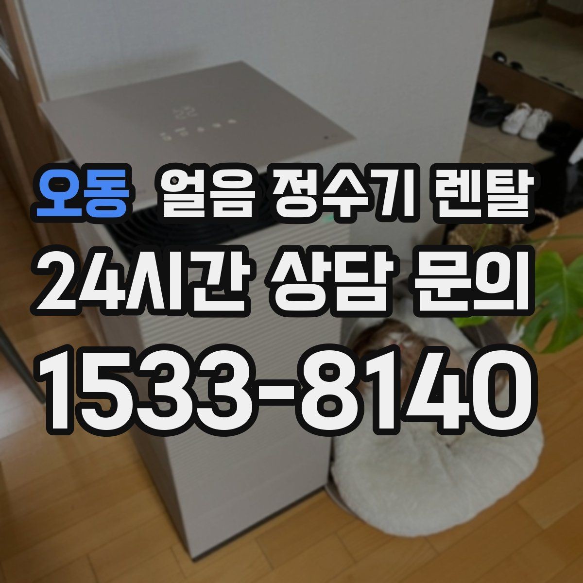 오동 얼음 정수기 렌탈 이사 계획 있으면 이전 설치를 먼저 체크