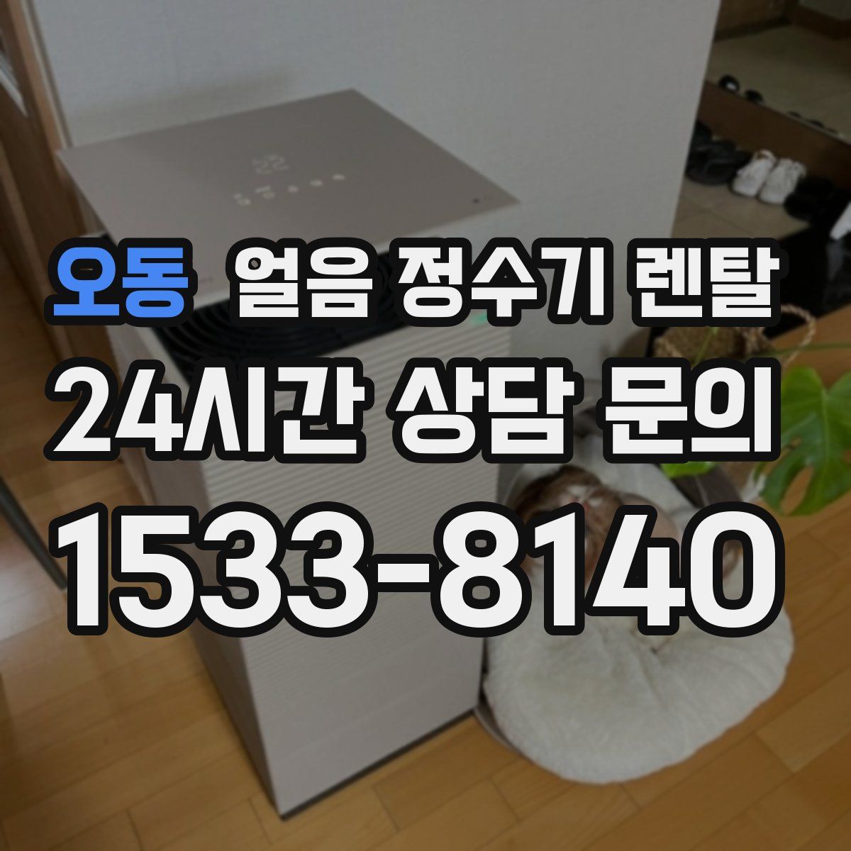 오동 얼음 정수기 렌탈