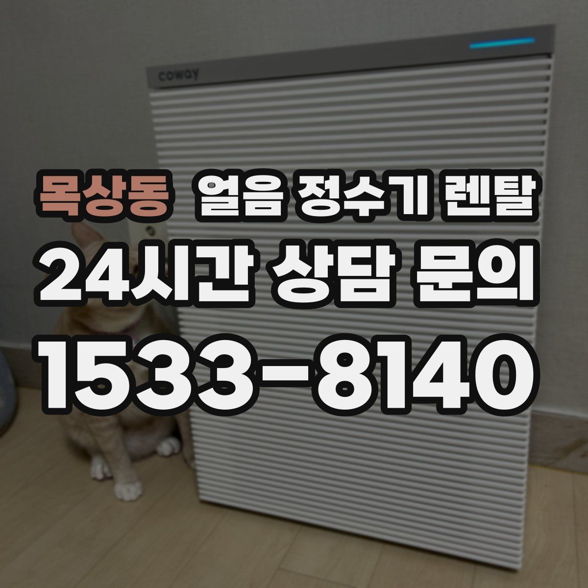 목상동 얼음 정수기 렌탈
