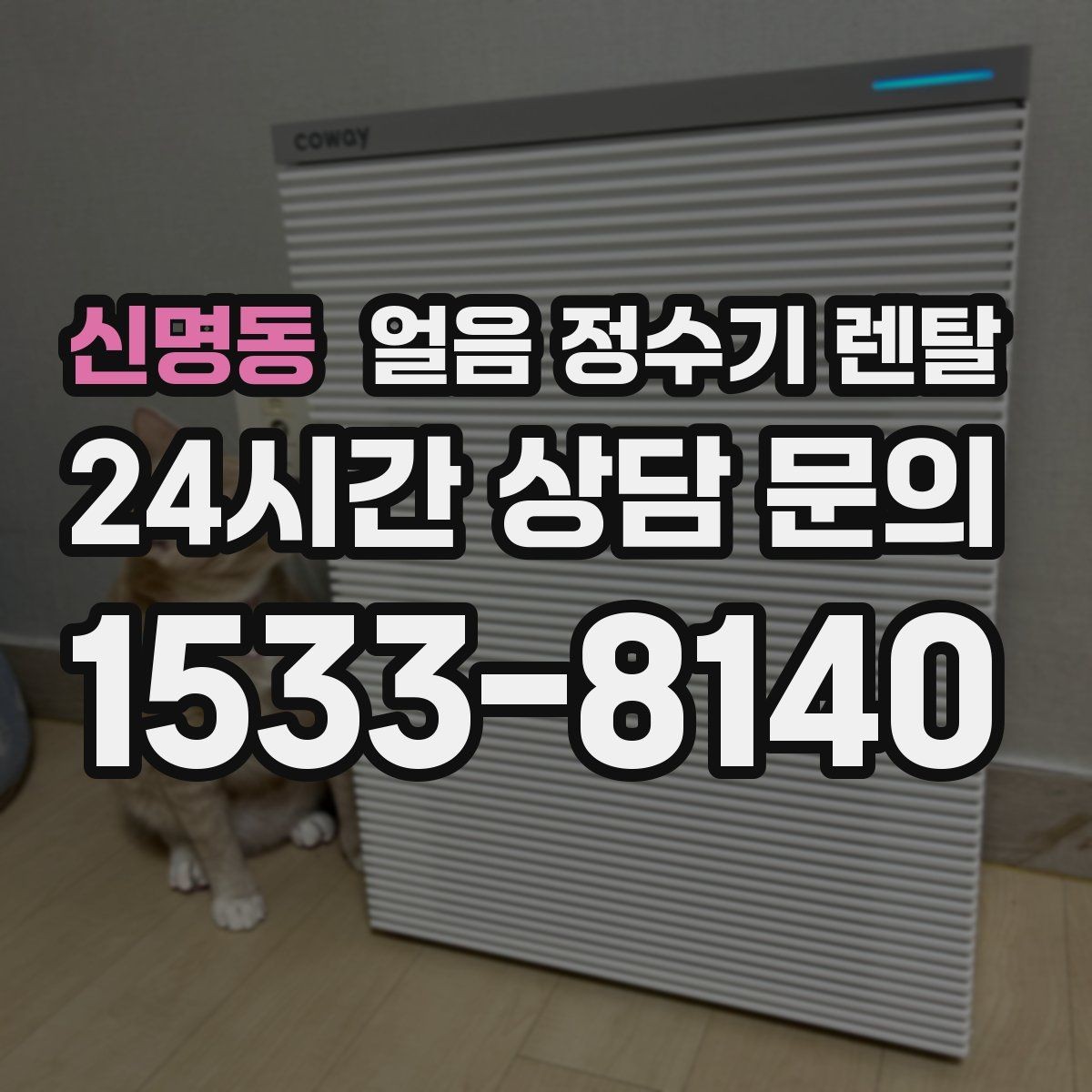 신명동 얼음 정수기 렌탈 매장 업소에 설치할 때 용량 선택 팁