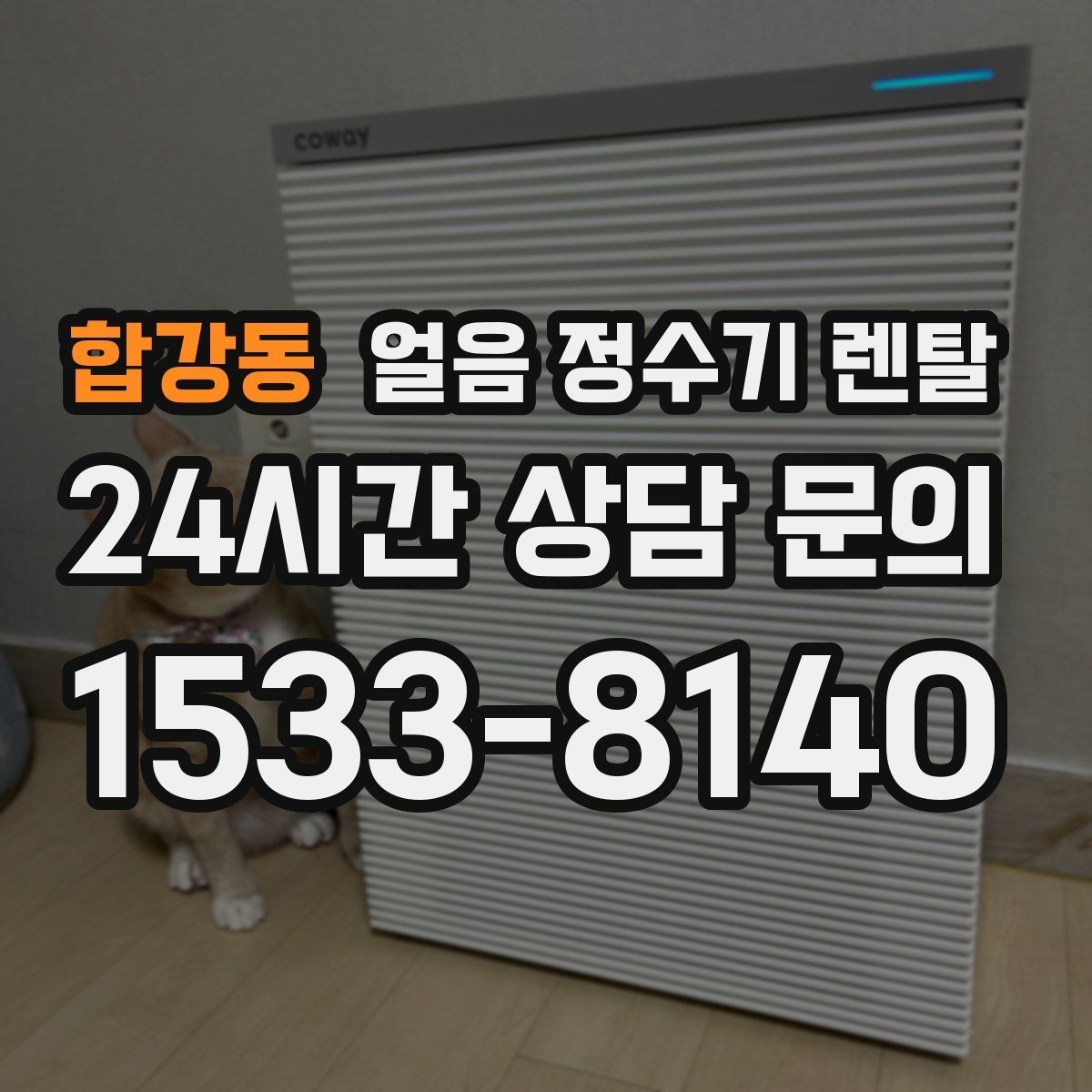 합강동 얼음 정수기 렌탈 가스레인지 옆 설치가 불리한 이유