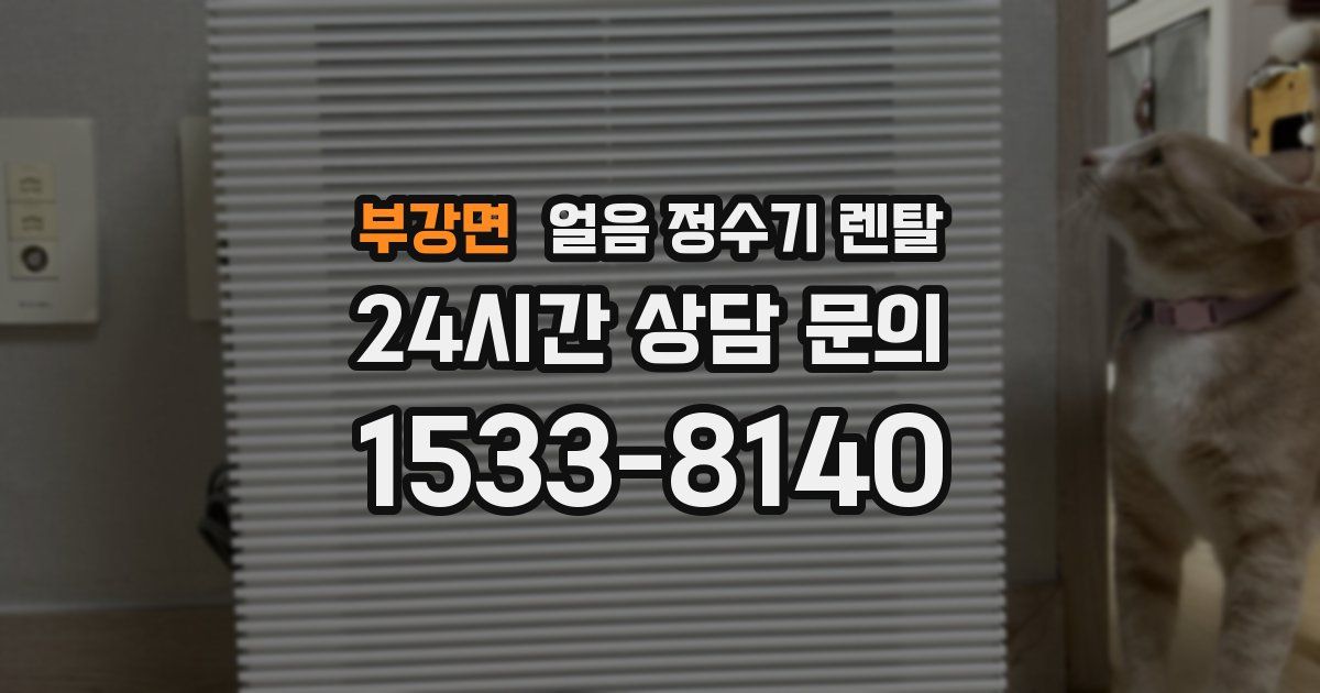 부강면 얼음 정수기 렌탈