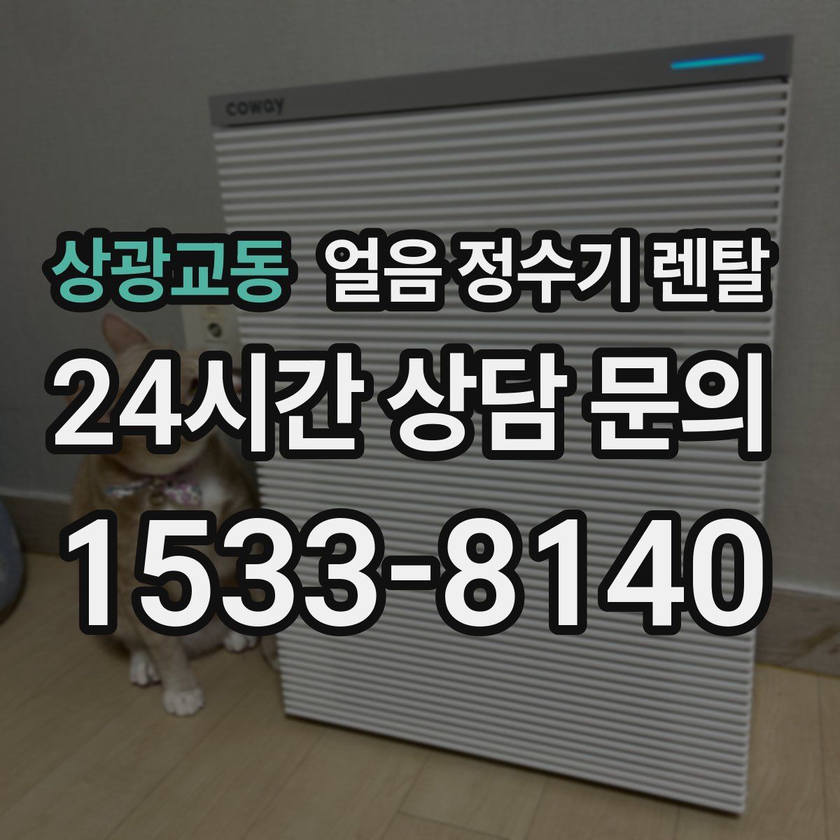 상광교동 얼음 정수기 렌탈