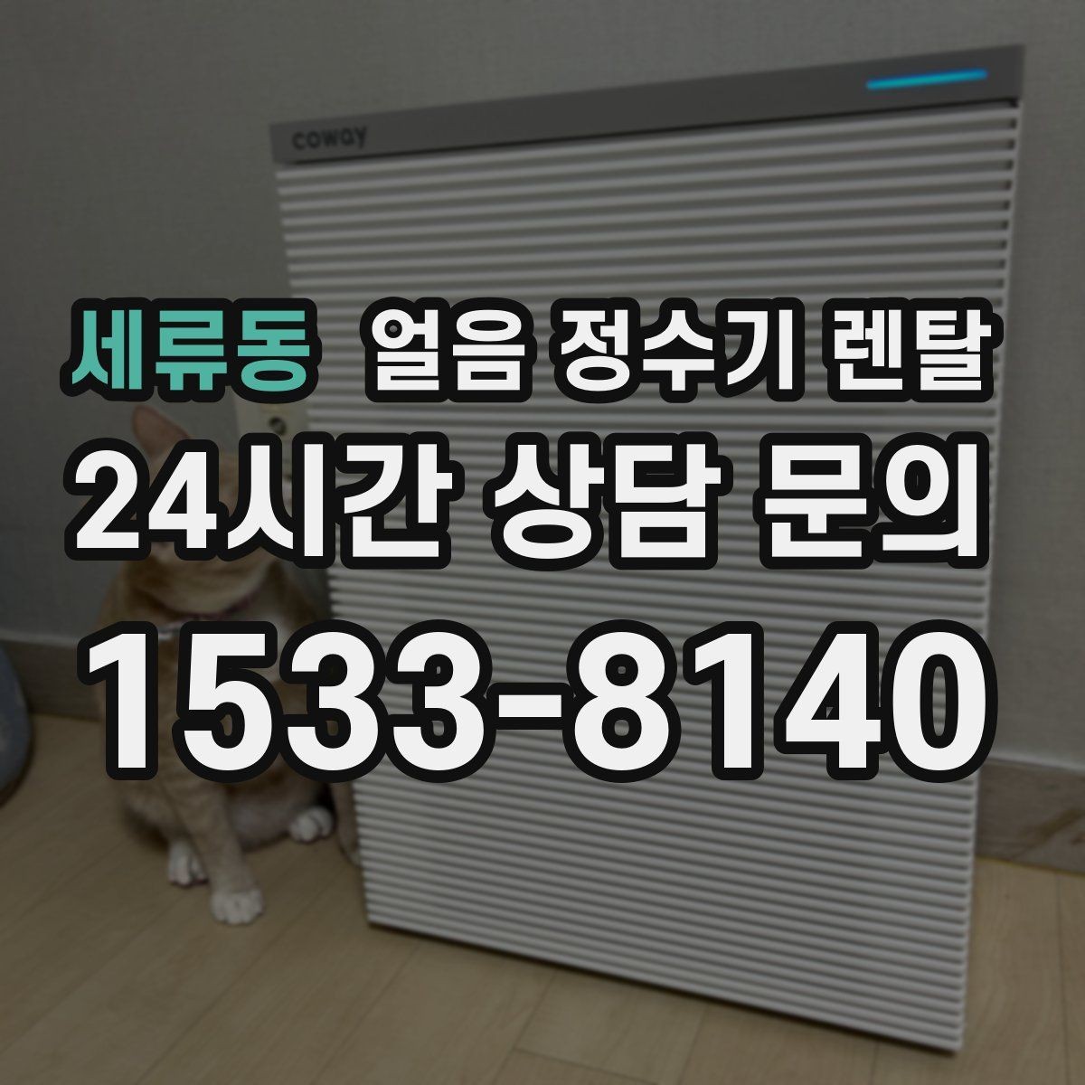 세류동 얼음 정수기 렌탈 코크 살균 기능은 어디까지 효과가 있을까