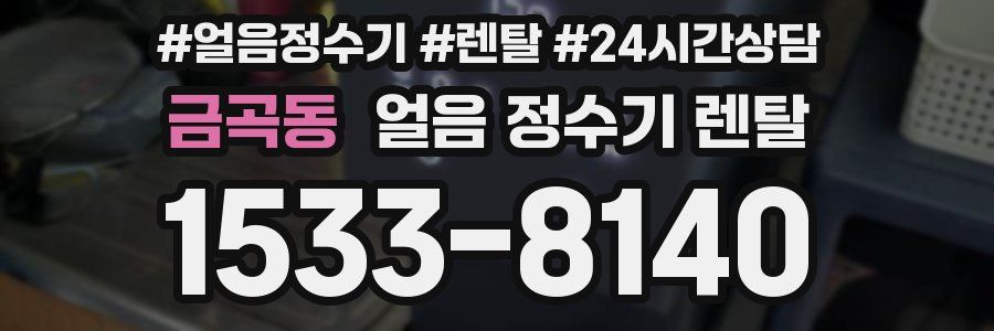 금곡동 얼음 정수기 렌탈