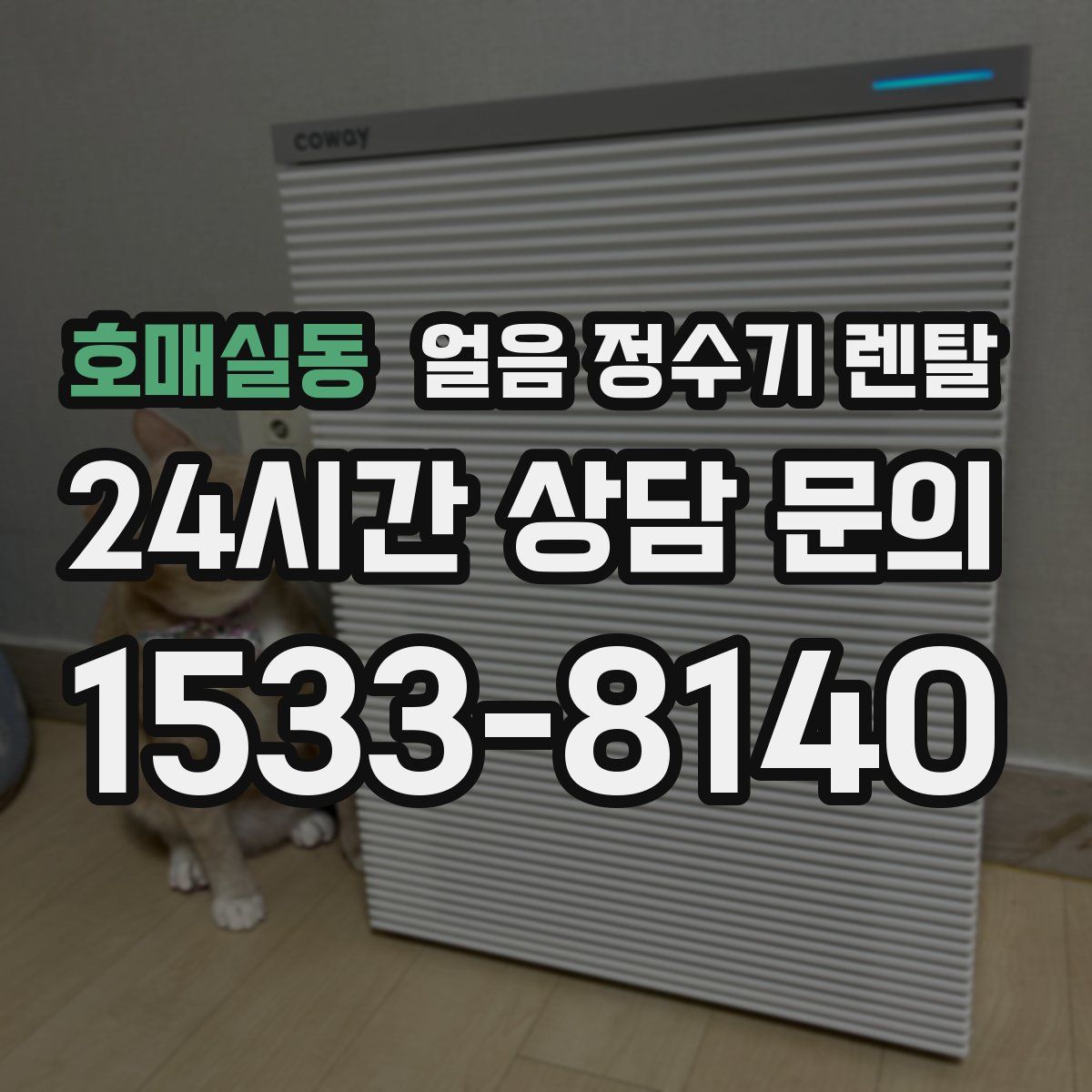 호매실동 얼음 정수기 렌탈