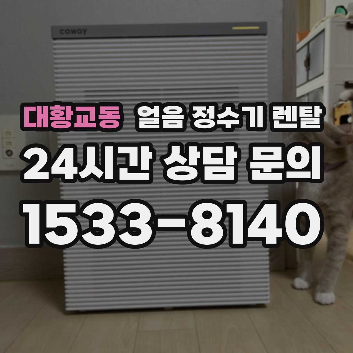 대황교동 얼음 정수기 렌탈