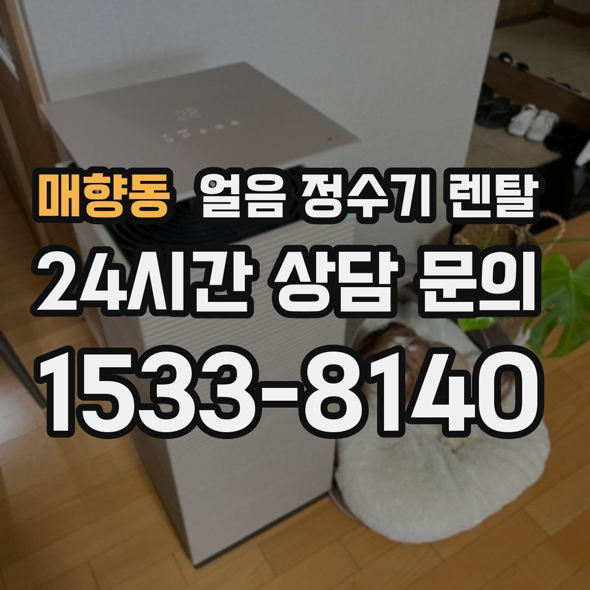 매향동 얼음 정수기 렌탈