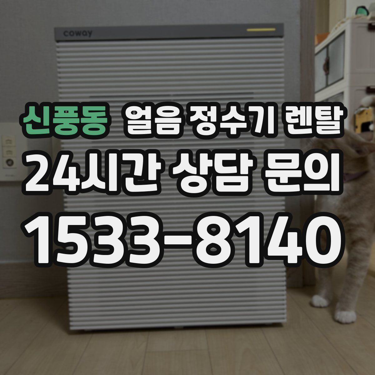 신풍동 얼음 정수기 렌탈