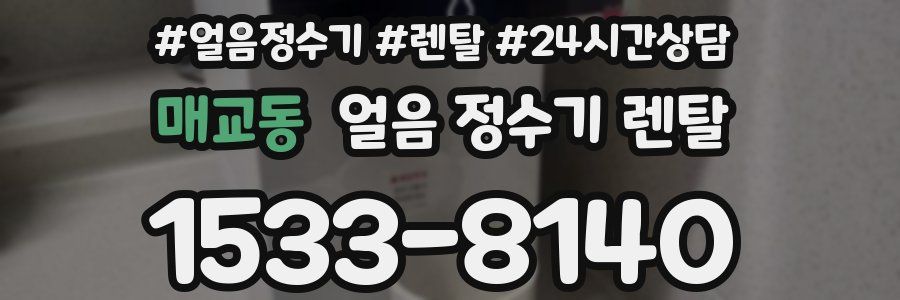 매교동 얼음 정수기 렌탈