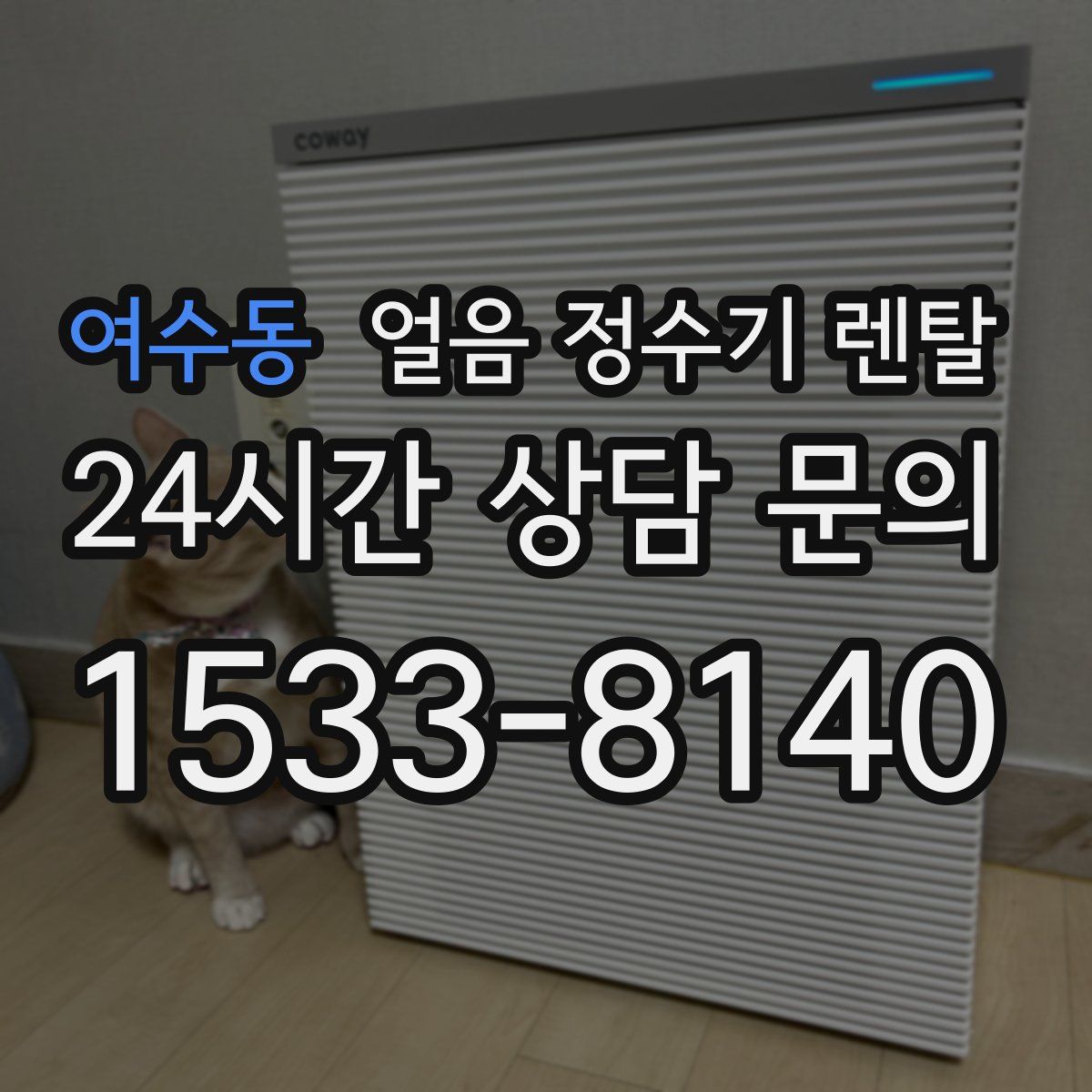 여수동 얼음 정수기 렌탈