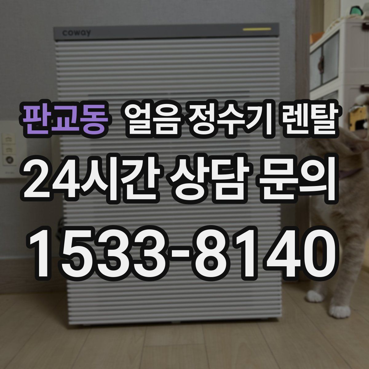 판교동 얼음 정수기 렌탈