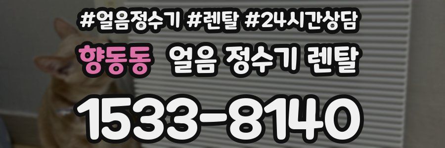 향동동 얼음 정수기 렌탈