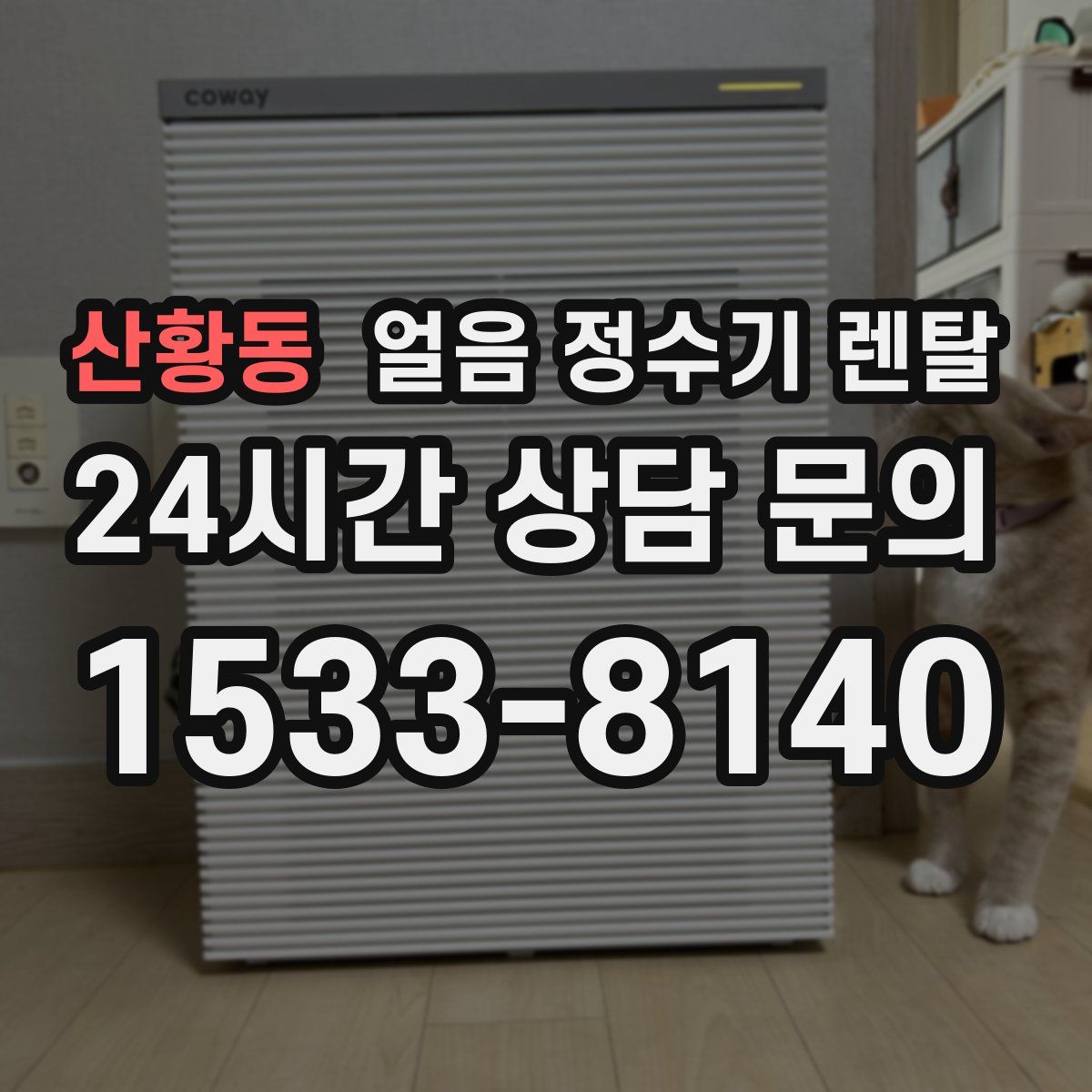 산황동 얼음 정수기 렌탈