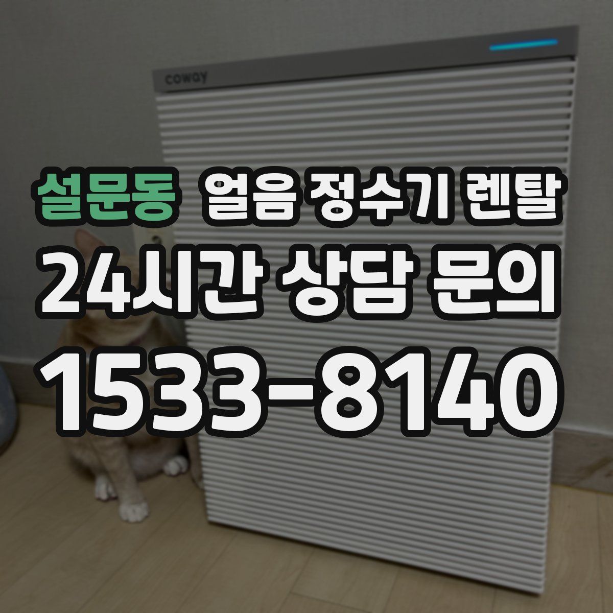 설문동 얼음 정수기 렌탈