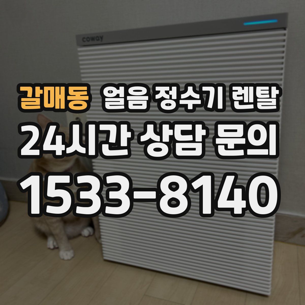 갈매동 얼음 정수기 렌탈