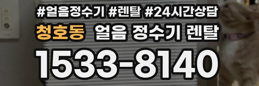 청호동 얼음 정수기 렌탈