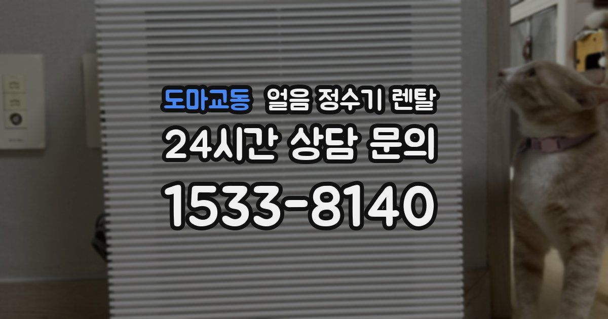 도마교동 얼음 정수기 렌탈