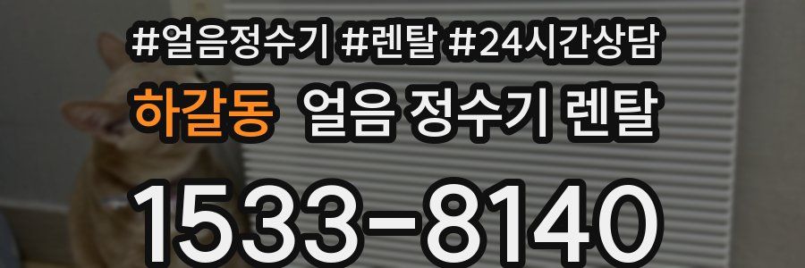 하갈동 얼음 정수기 렌탈