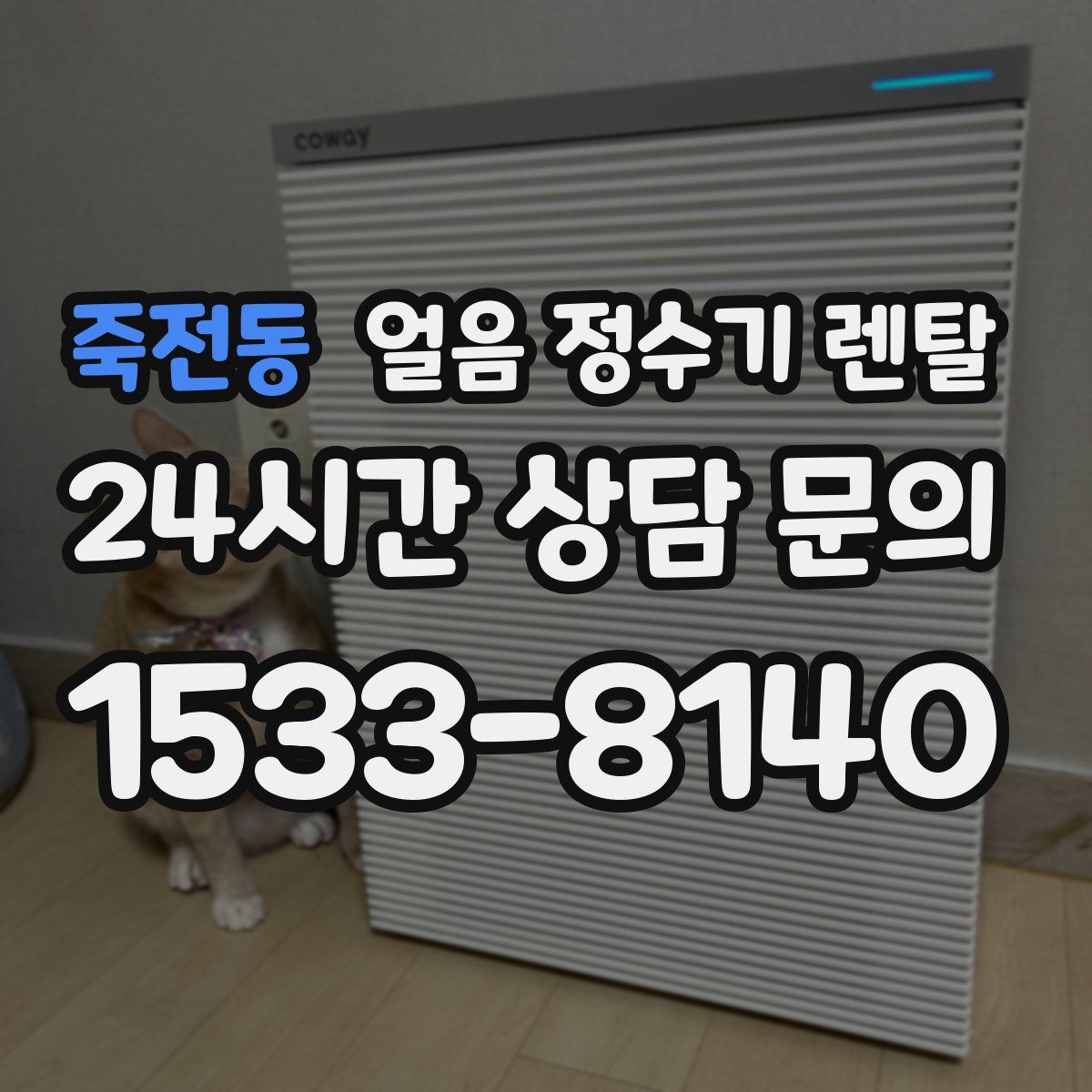 죽전동 얼음 정수기 렌탈