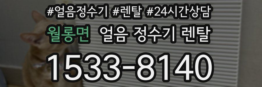 월롱면 얼음 정수기 렌탈