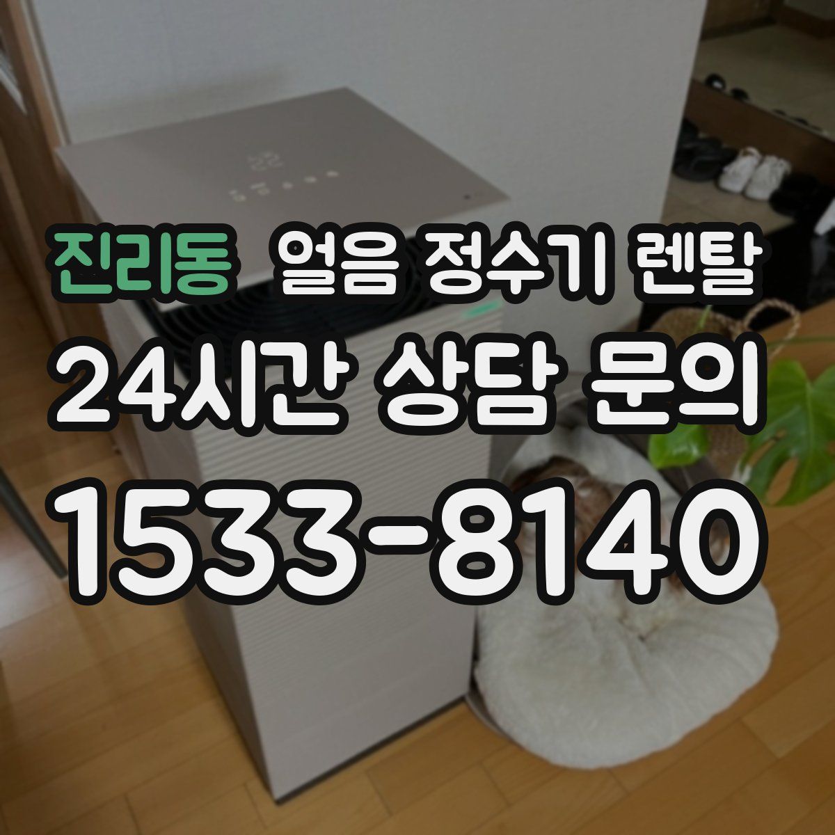 진리동 얼음 정수기 렌탈