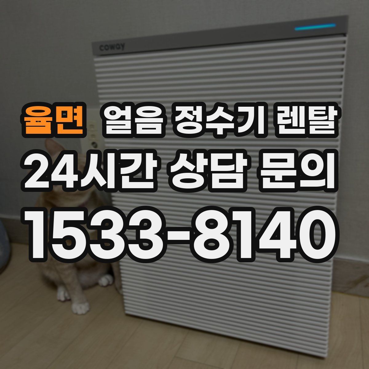 율면 얼음 정수기 렌탈