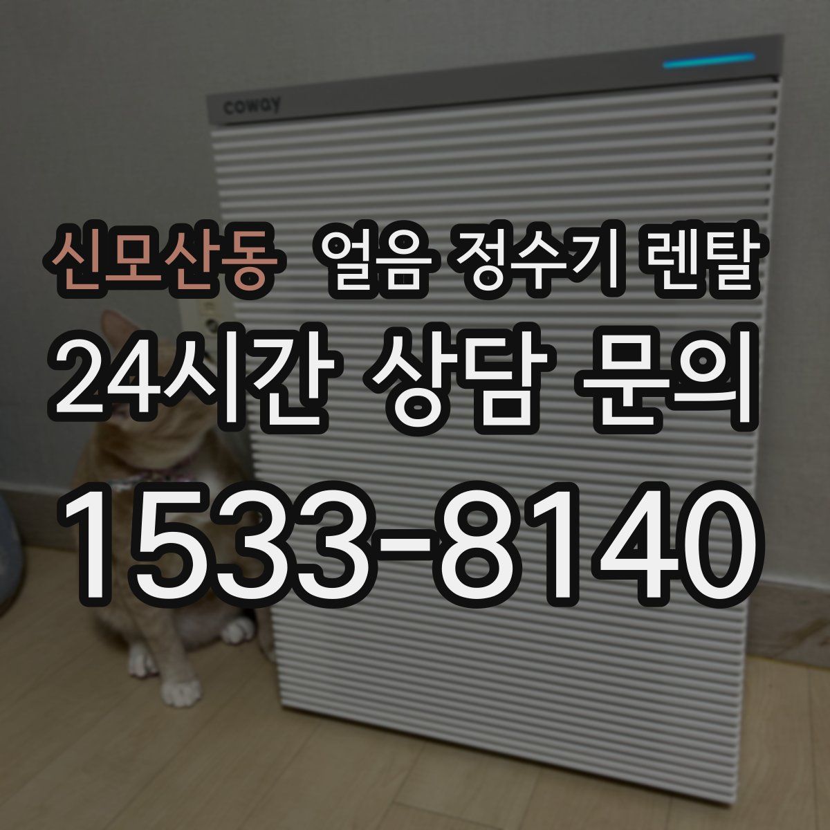 신모산동 얼음 정수기 렌탈