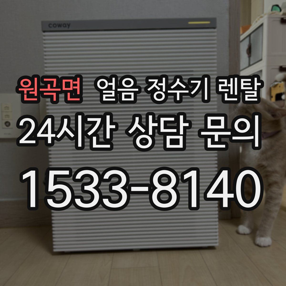 원곡면 얼음 정수기 렌탈