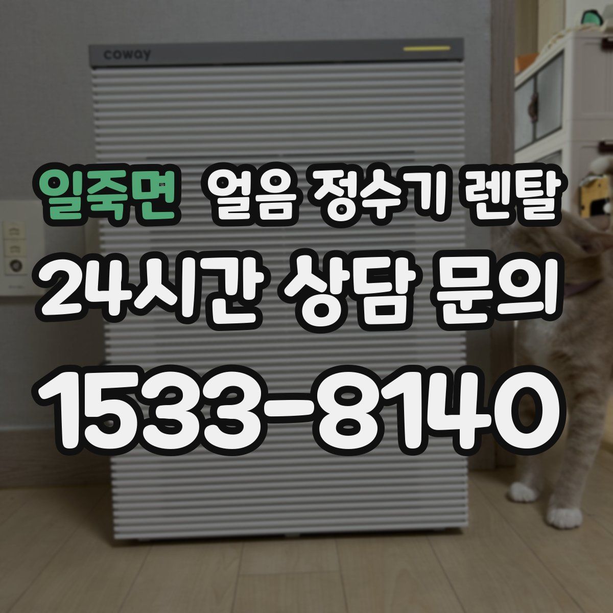 일죽면 얼음 정수기 렌탈