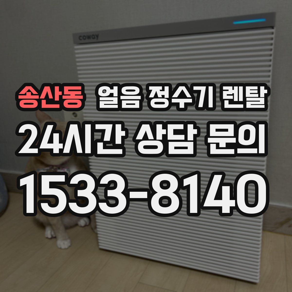 송산동 얼음 정수기 렌탈