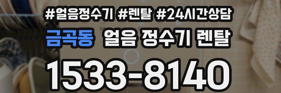 금곡동 얼음 정수기 렌탈