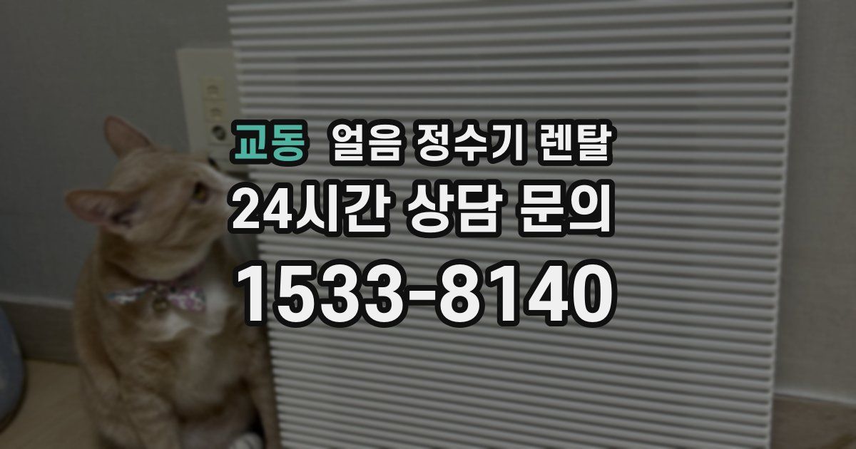 교동 얼음 정수기 렌탈