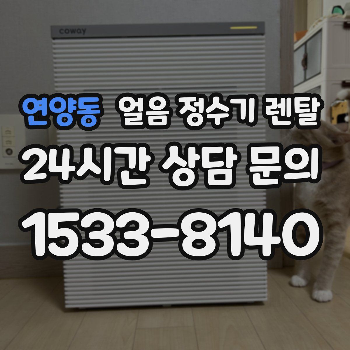 연양동 얼음 정수기 렌탈