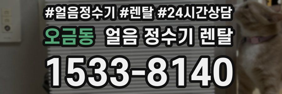 오금동 얼음 정수기 렌탈