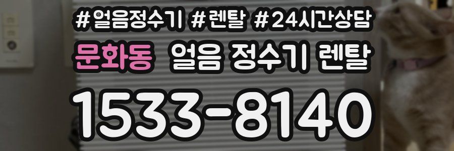 문화동 얼음 정수기 렌탈