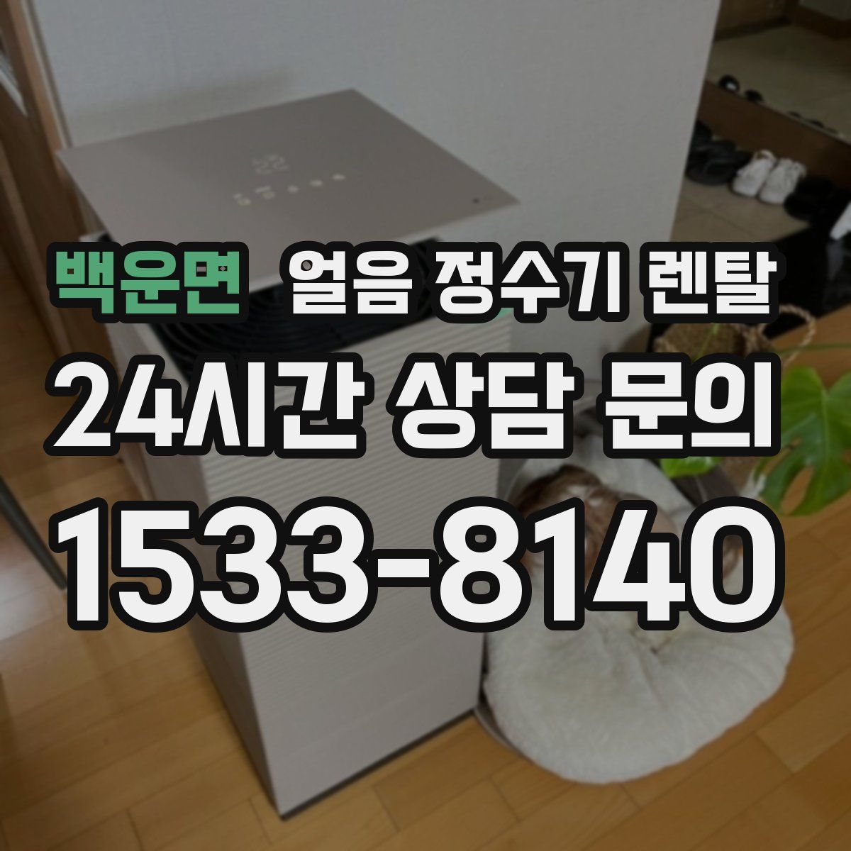 백운면 얼음 정수기 렌탈