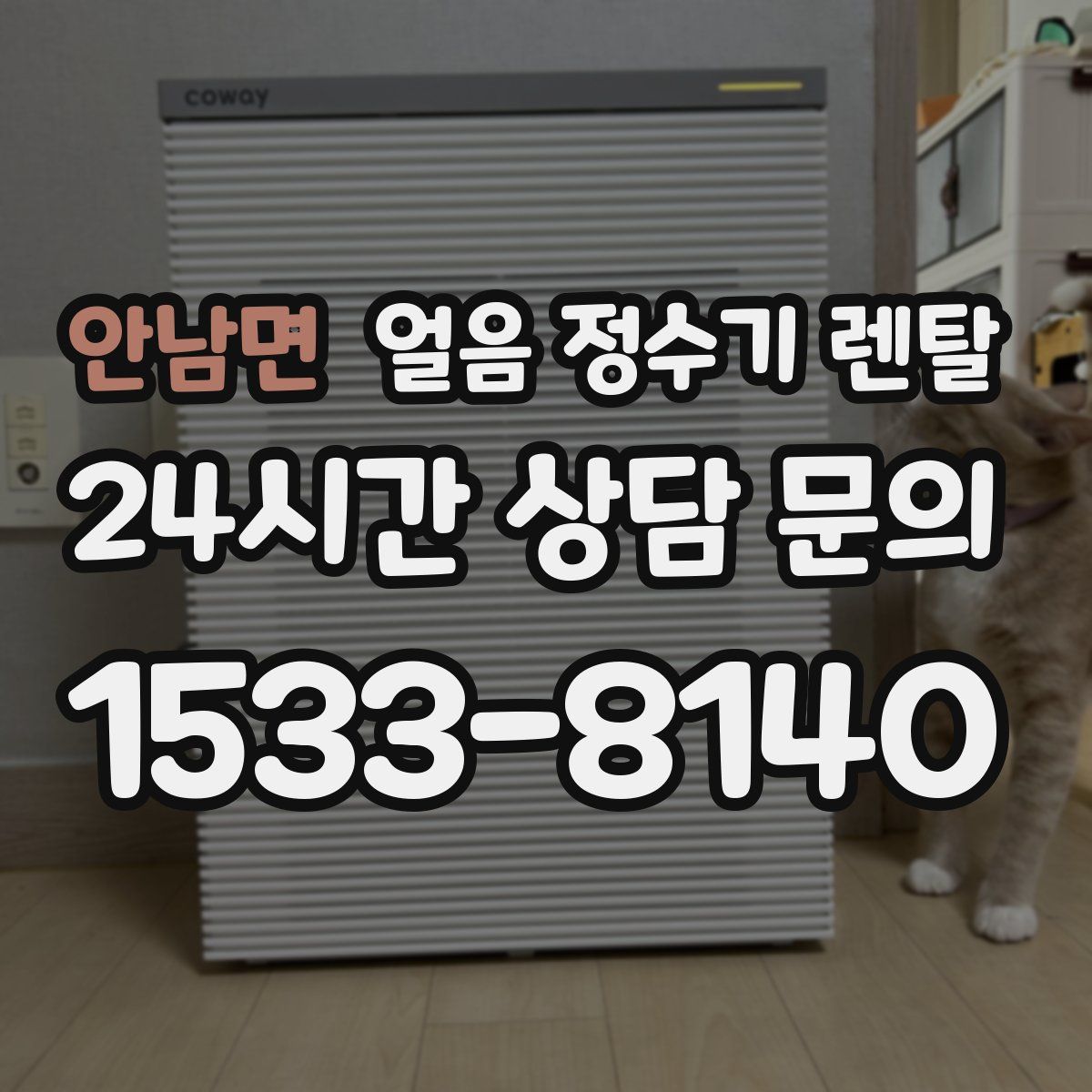 안남면 얼음 정수기 렌탈