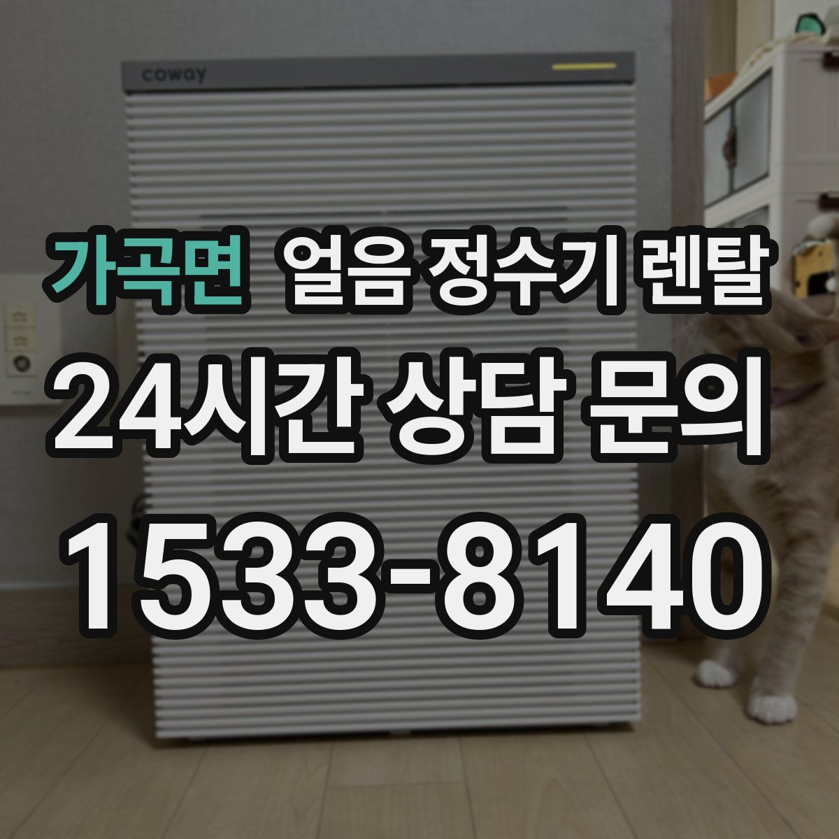 가곡면 얼음 정수기 렌탈