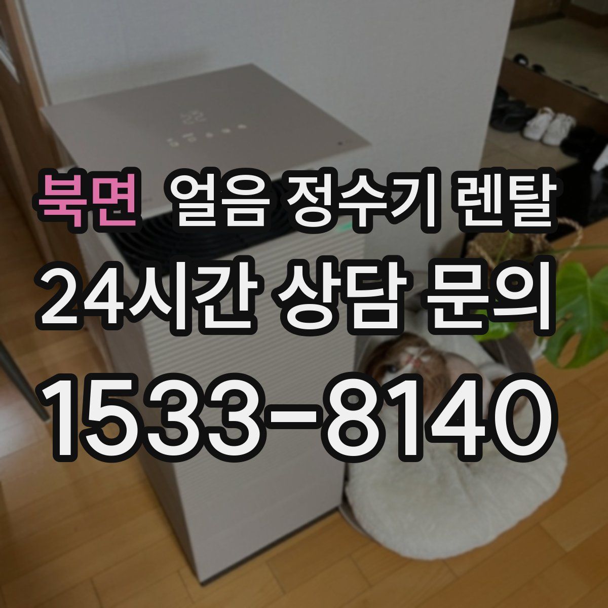 북면 얼음 정수기 렌탈