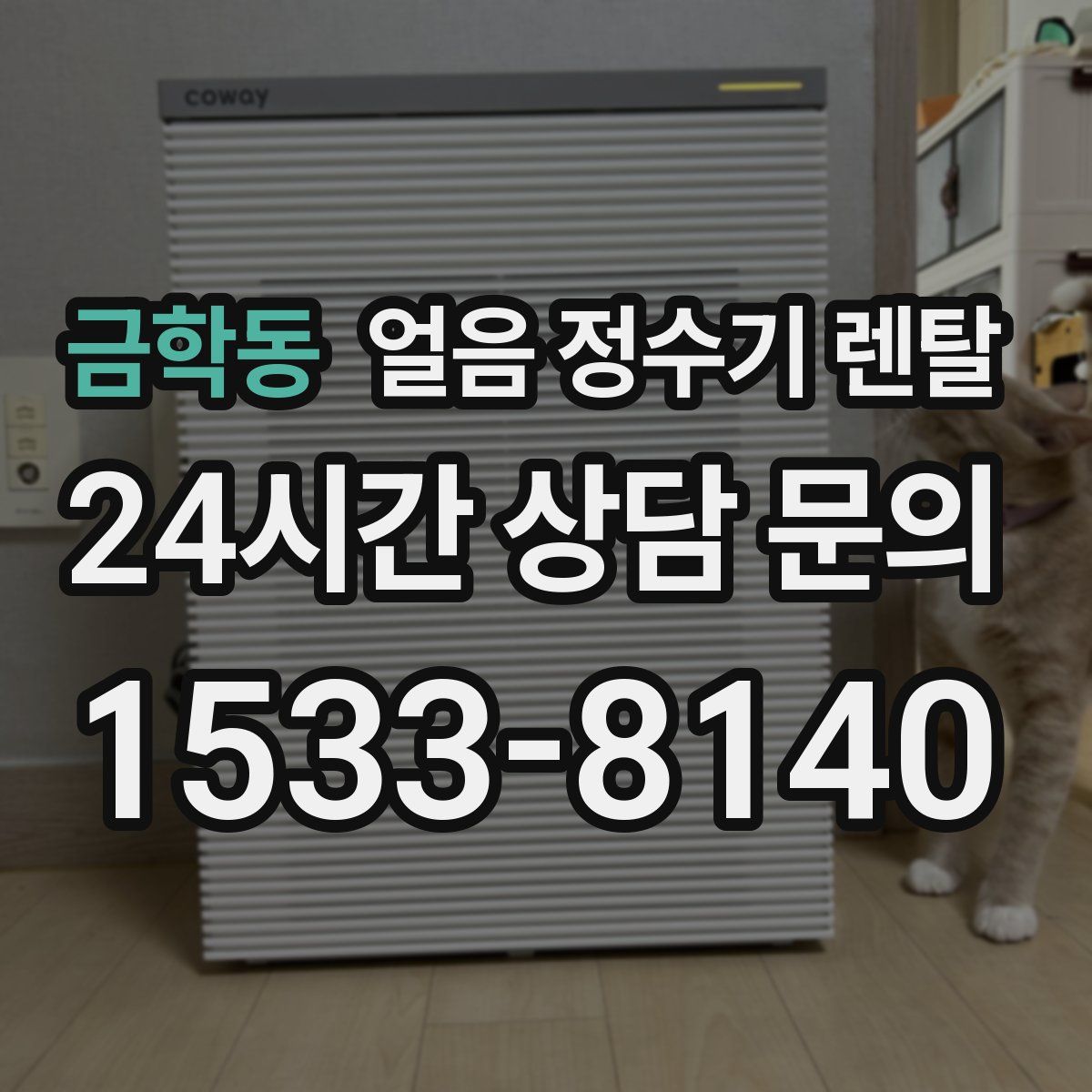 금학동 얼음 정수기 렌탈