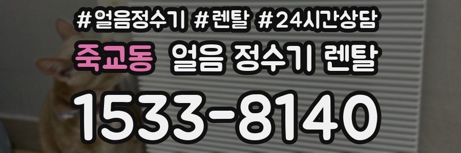 죽교동 얼음 정수기 렌탈